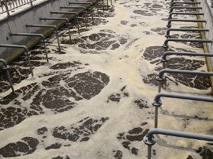 點擊查看詳細信息<br>標題：可提升微孔曝氣管 閱讀次數：5268